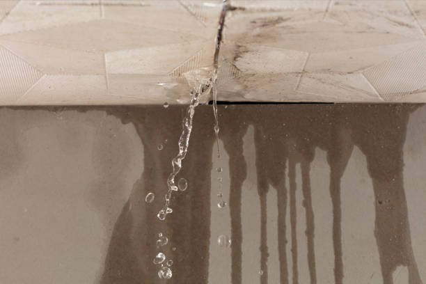 Professional Water Damage Repair technician working in Riverside, IL